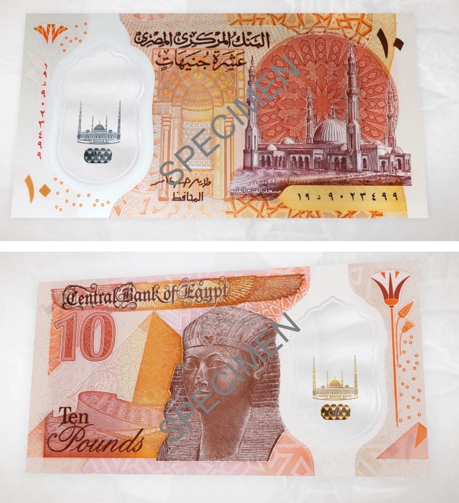 both egypt notes with specimen