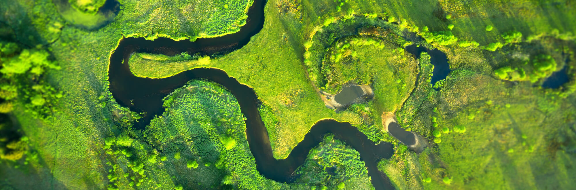 an aerial shot of a winding river in a rich, biodiverse landscape
