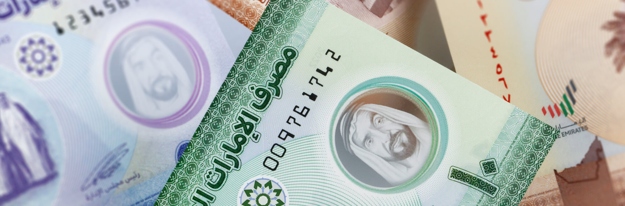 a collection of multi-coloured United Arab Emirates dirham notes in various denominations