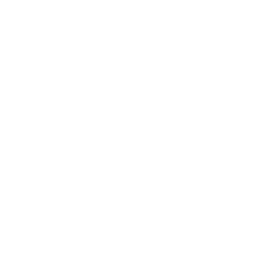Our strategy invest