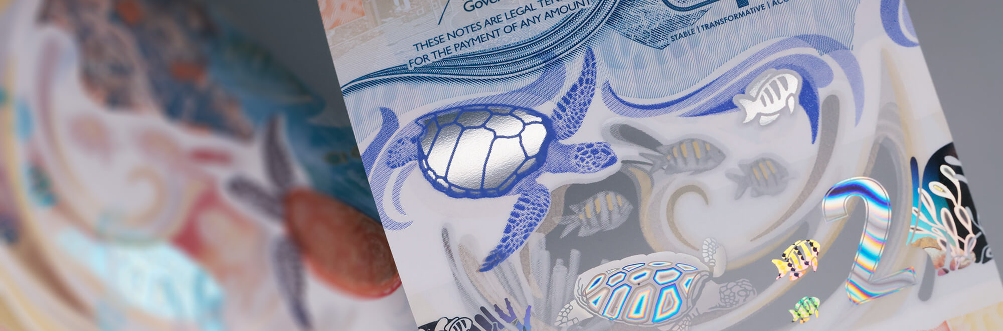 a multi-colour Eastern Caribbean Central Bank note with a design featuring turtles
