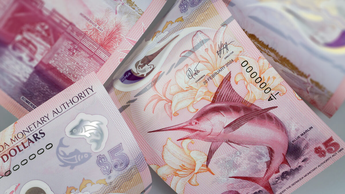 a close-up of a Bermudian $5 polymer banknote featuring a swordfish