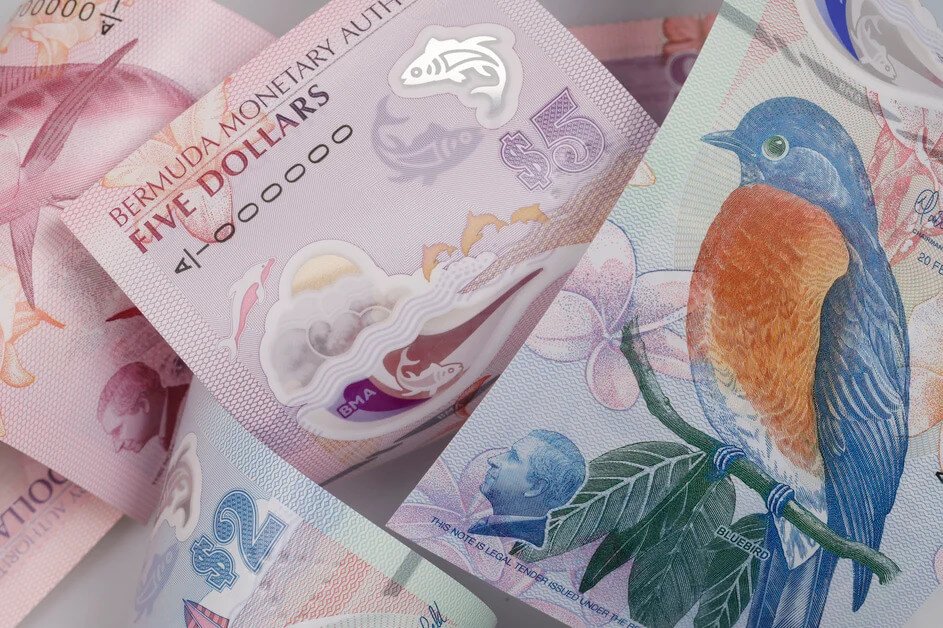 a photo of the new polymer $2 and $5 banknotes made for Bermuda