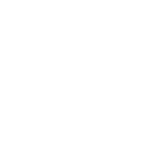 CURR-icon set 1-white-Secure.png